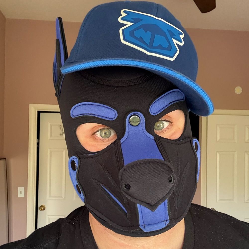 Pup Enigma