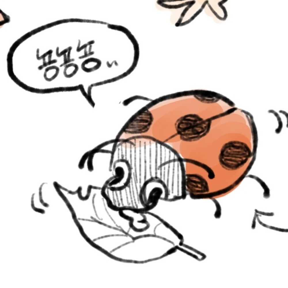 득꾸