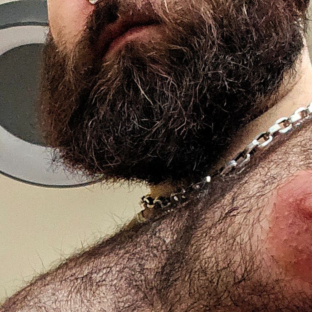 HairyBullbear 🐻