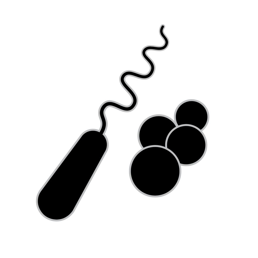 Midwest Microbial Pathogenesis Conference