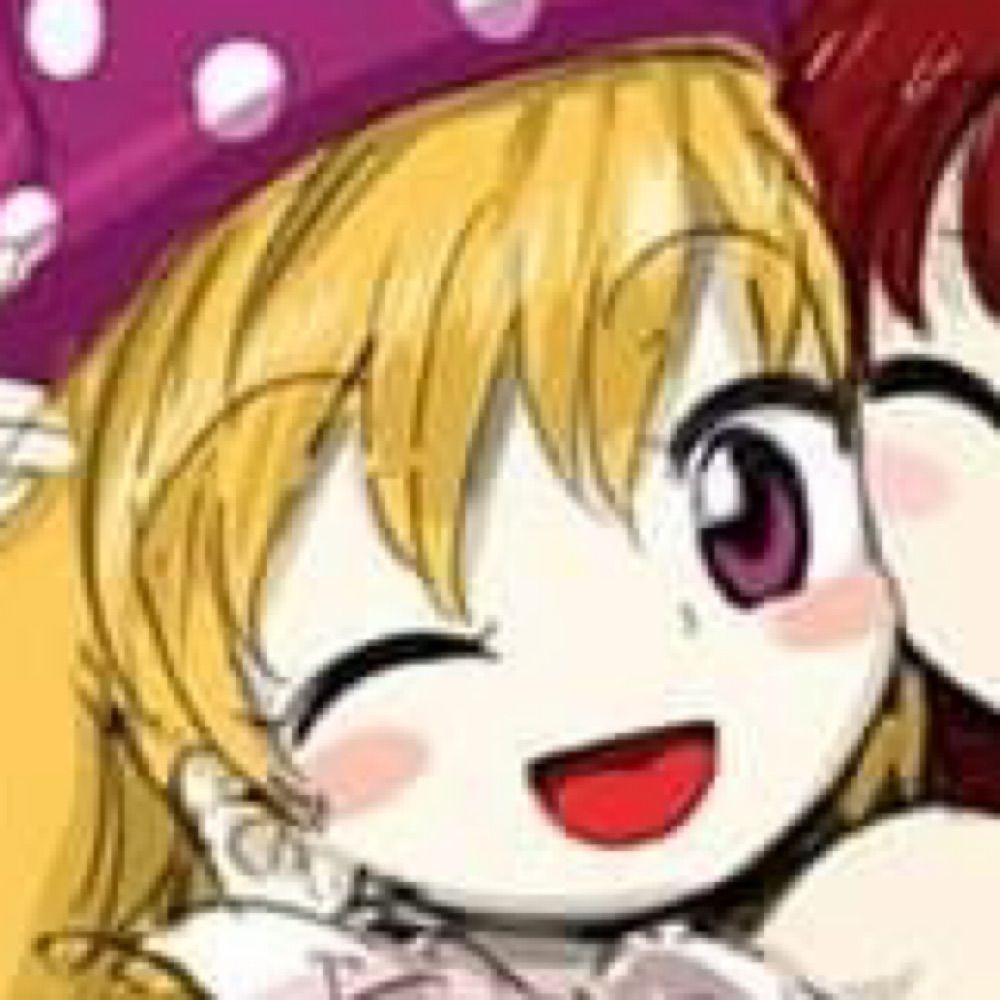 average 東方 enjoyer