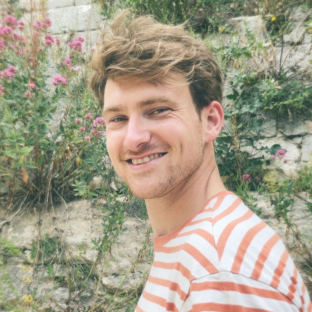 Maarten Meijering