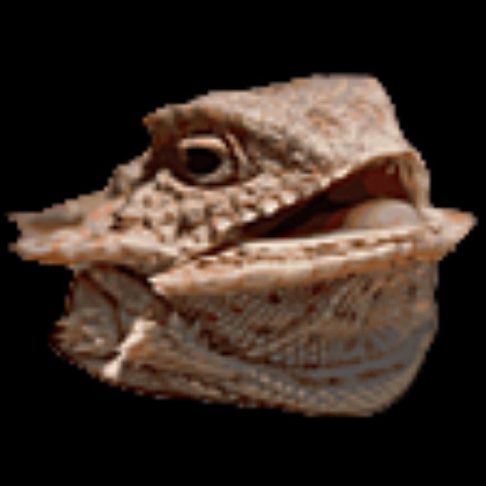 Srdz