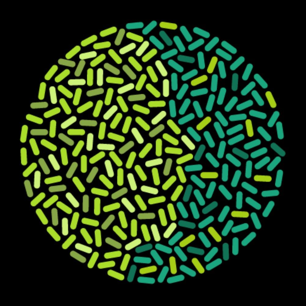 MIT Microbiome Club