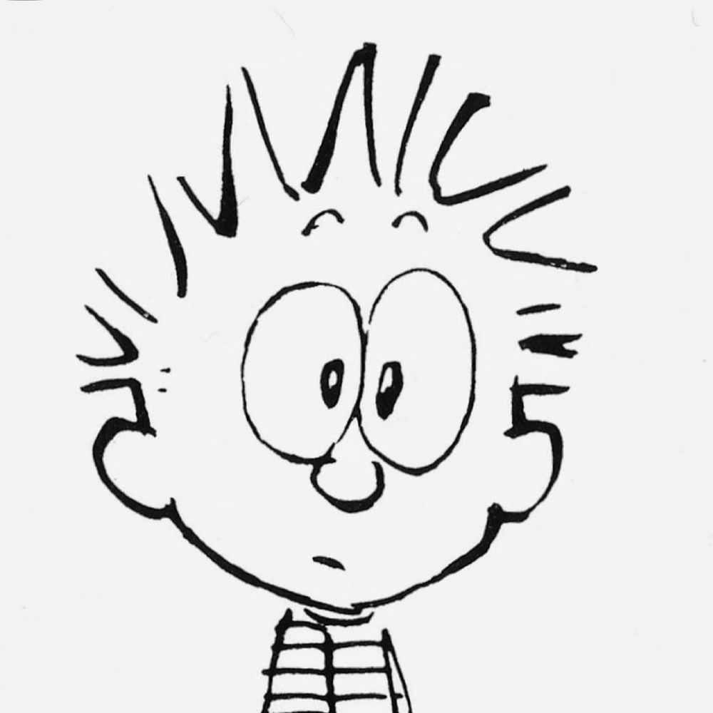 vitsy14.bsky.social profile picture