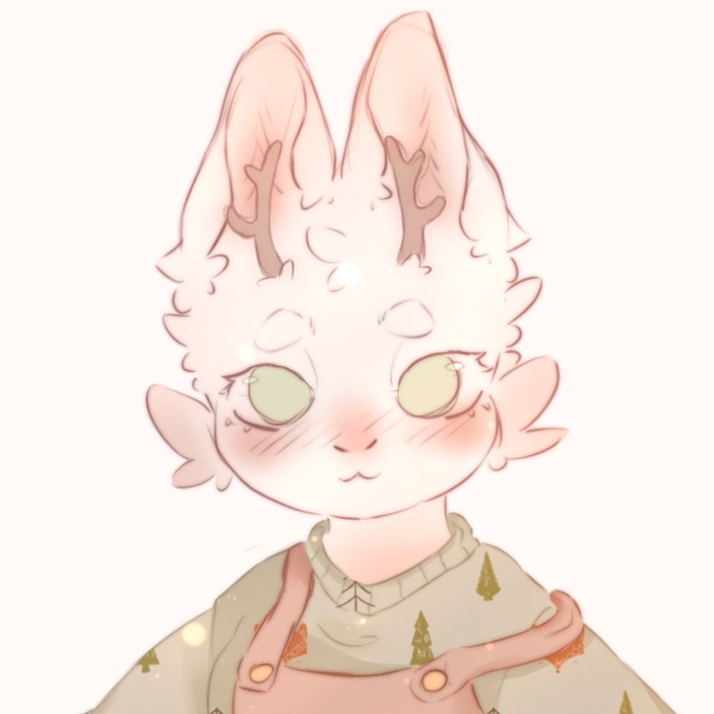 Tsuki