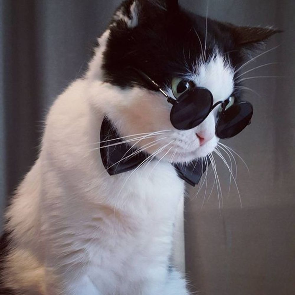 Micah