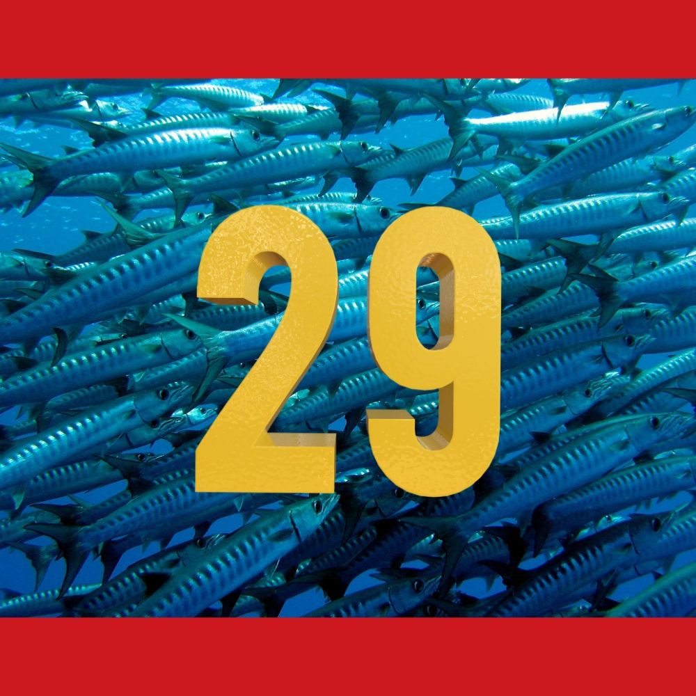 29