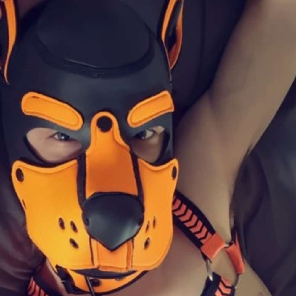 Pup Seb