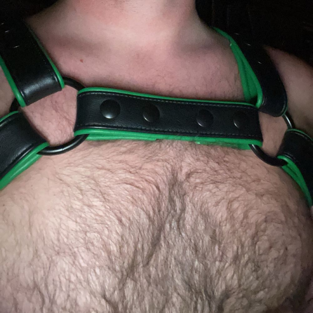 Dadbodbro