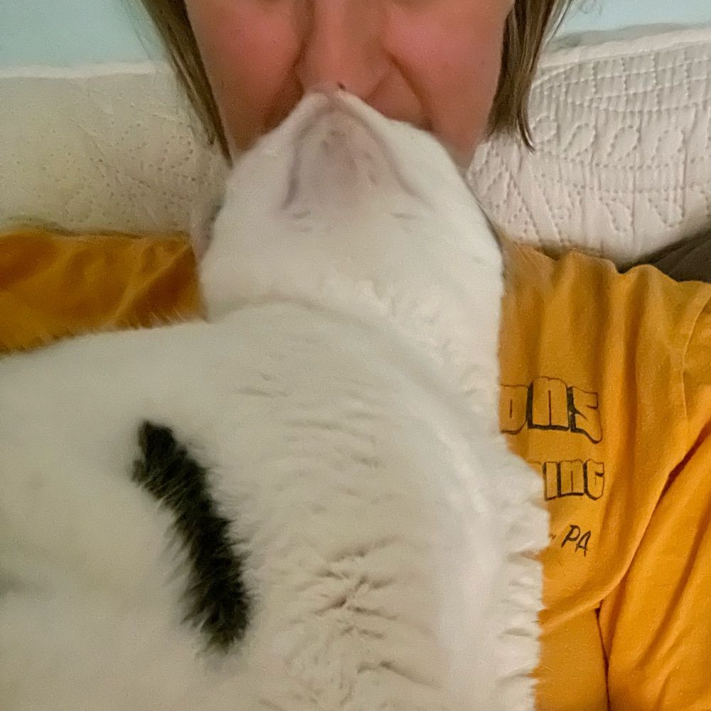 Missy
