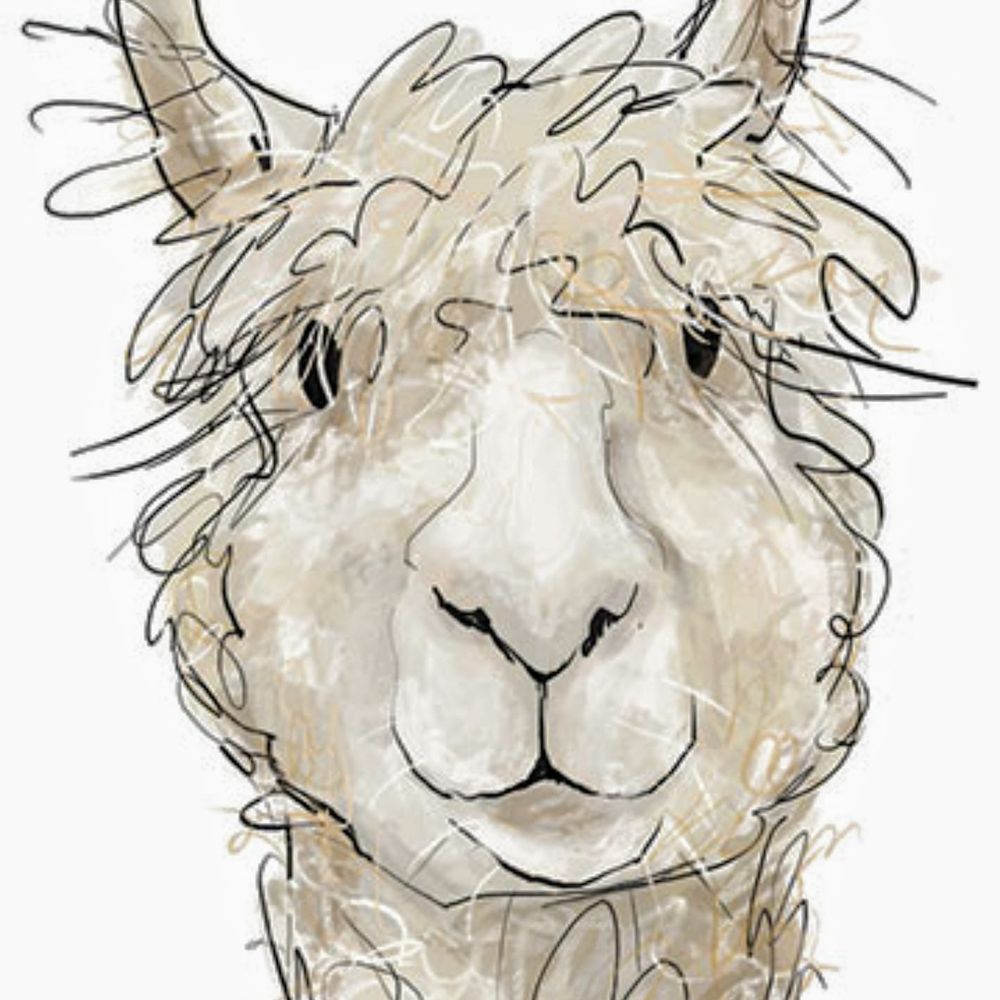 Alpaca Weaver