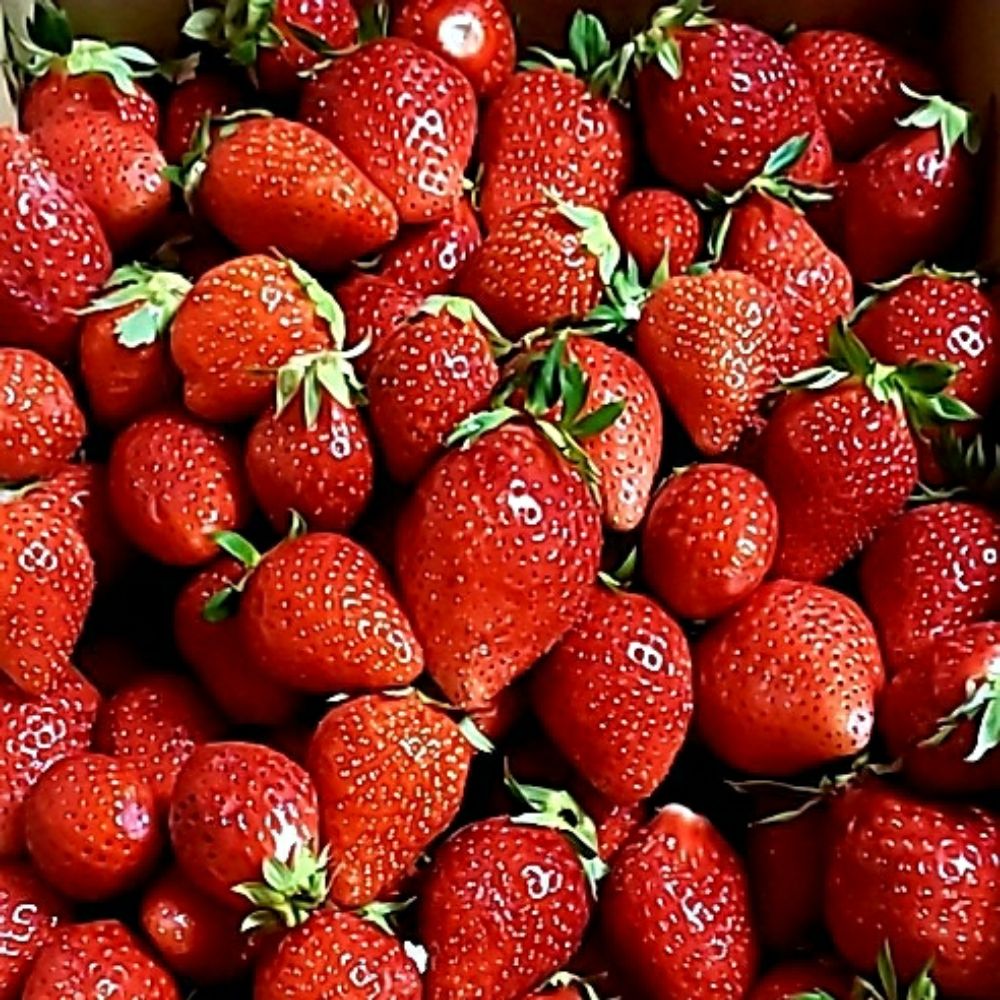 きみっつ키밋쯔🍓