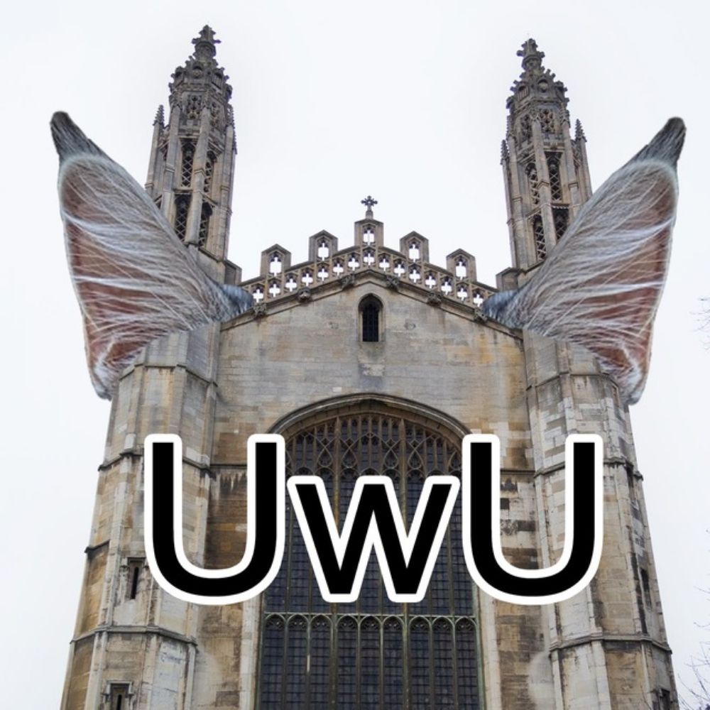 Cambridge Furs