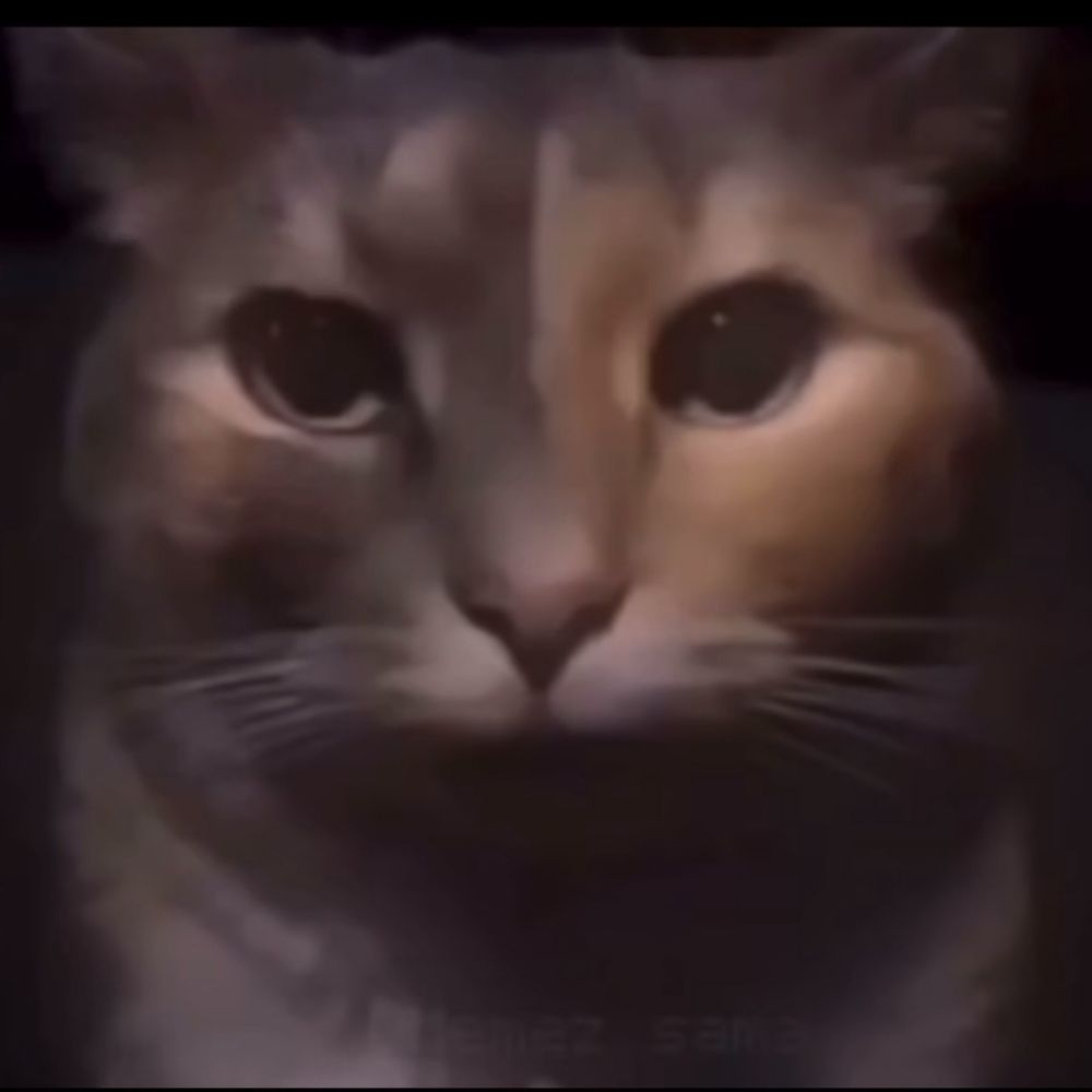 Rafa