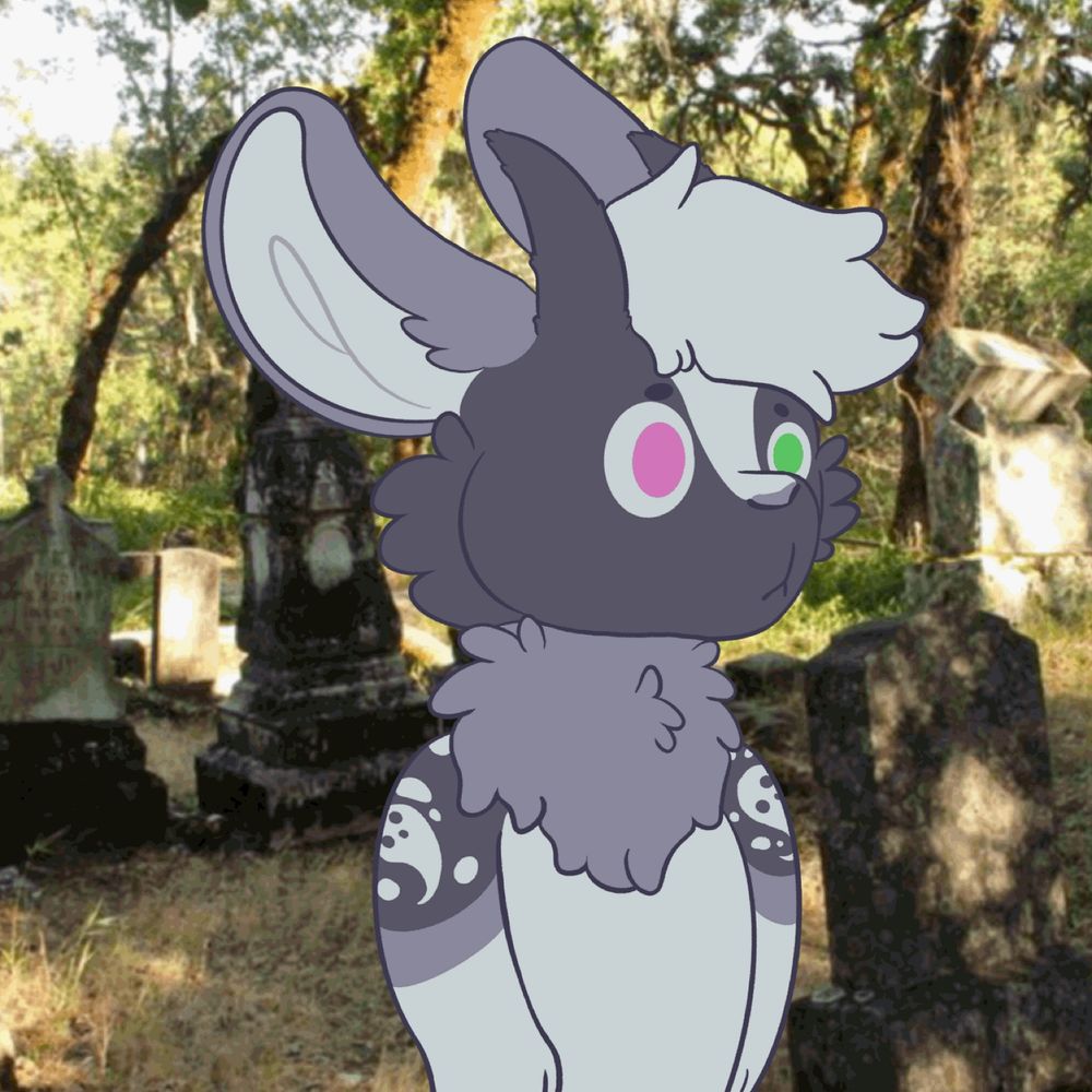 RyonEnderWolf
