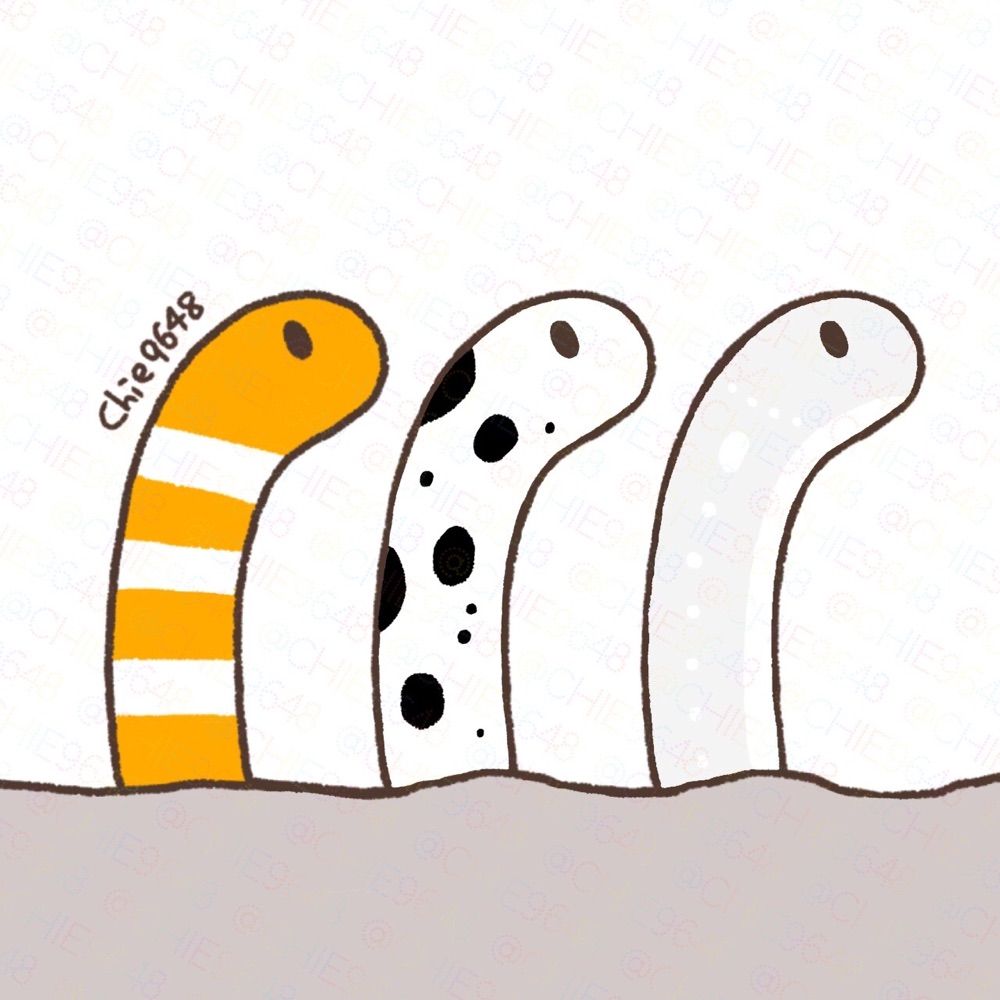 千絵