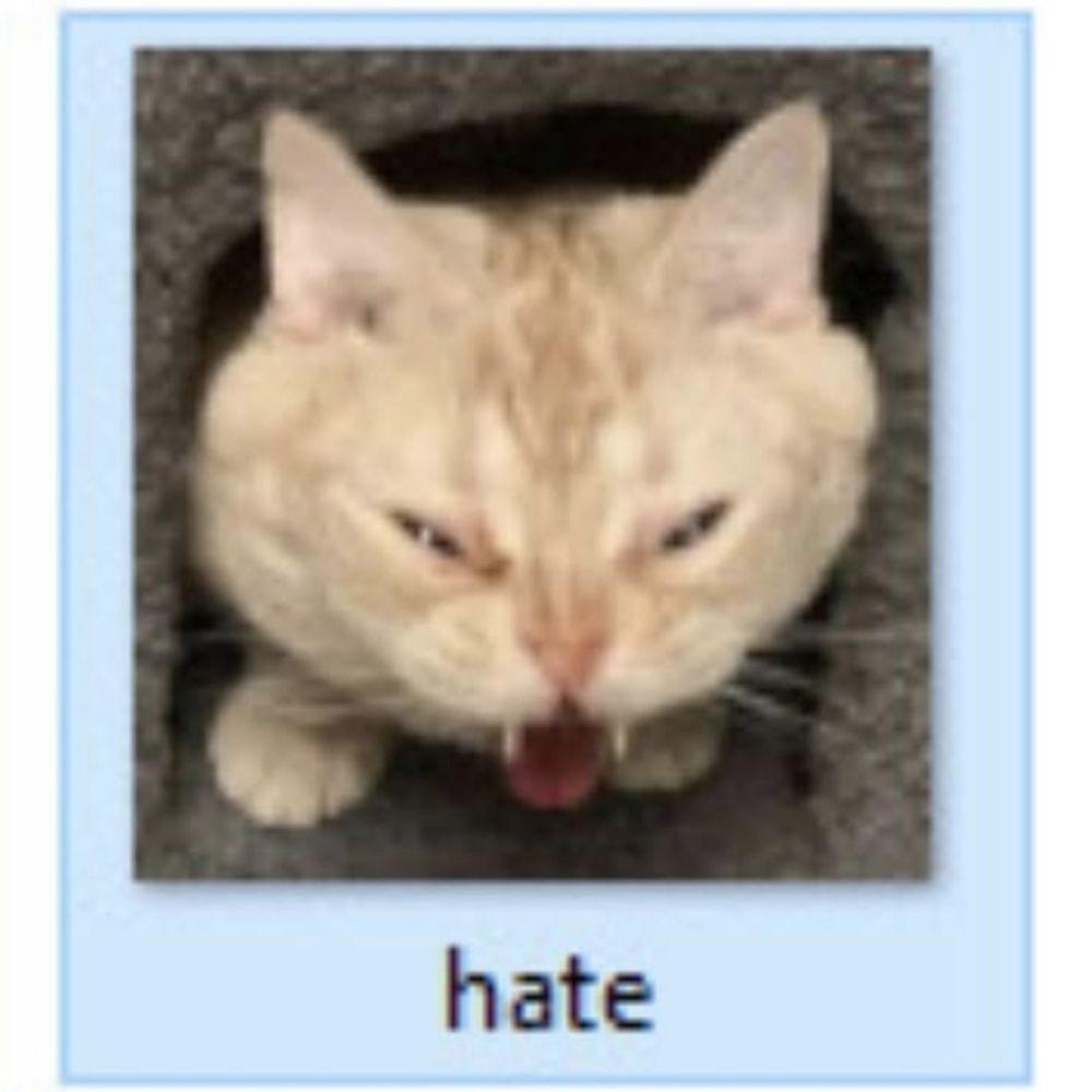 지옥괭