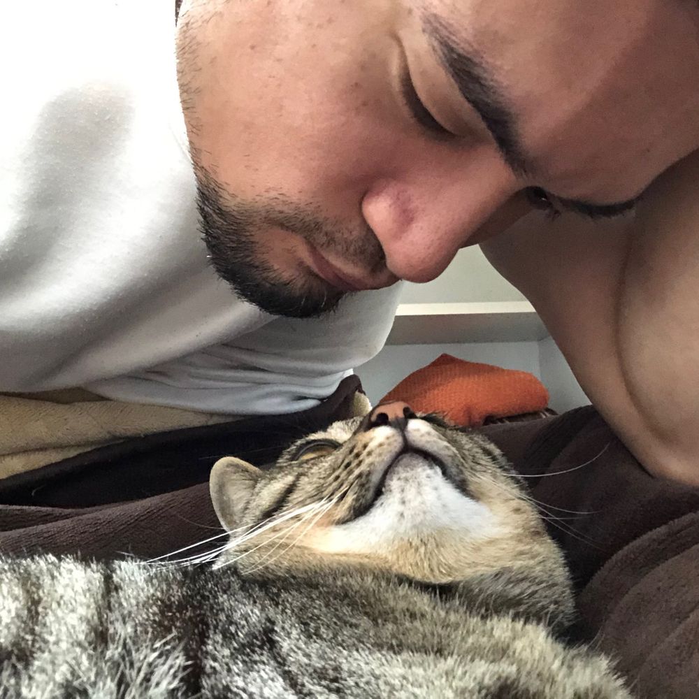 トロとふさお
