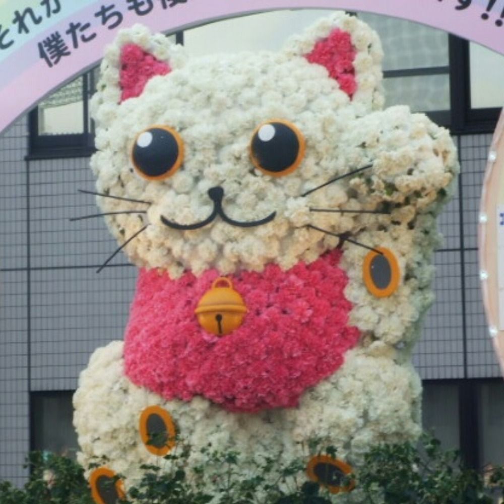 あり猫