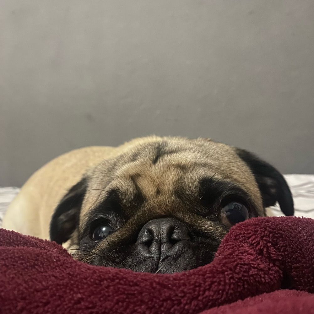 bru