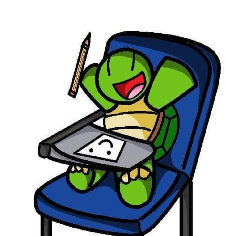 🐢