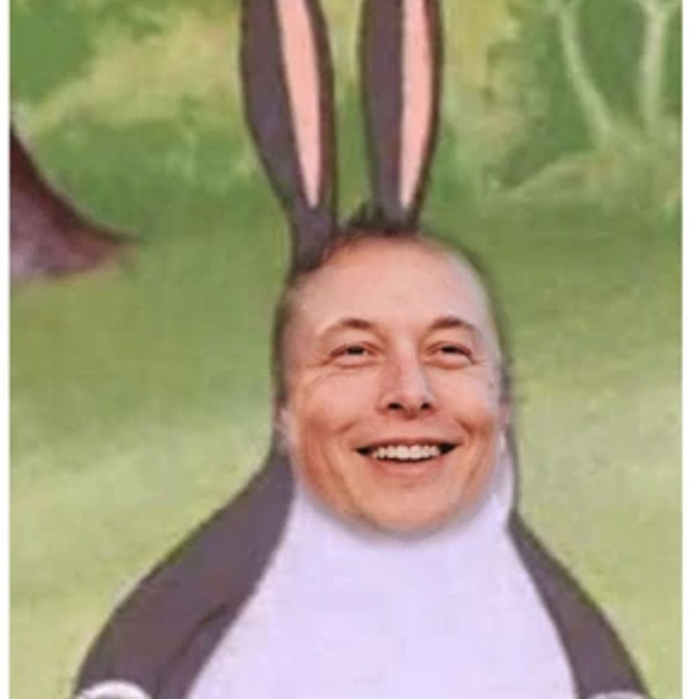 Elon Musk Big Chungus