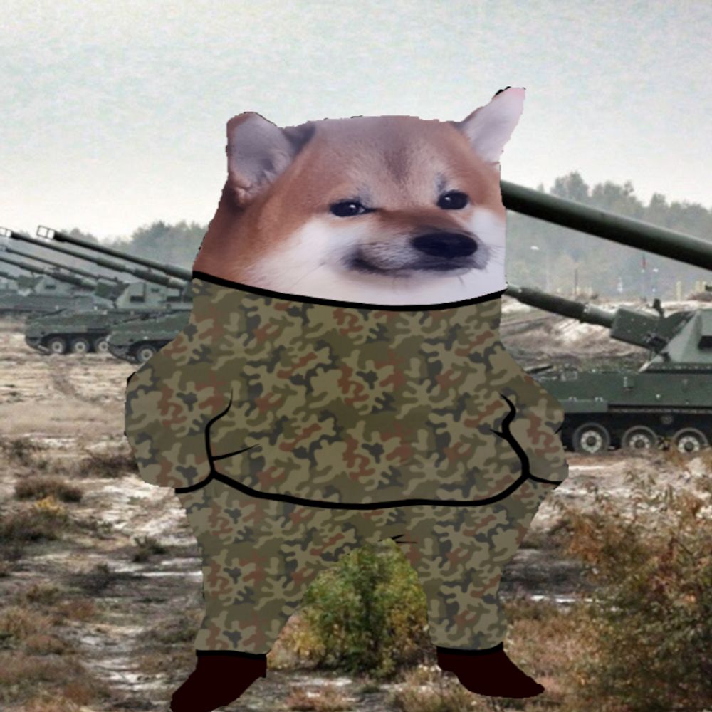 ArtilleryFella🇵🇱