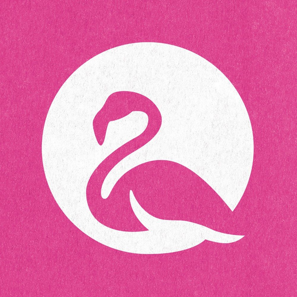 flamingo+