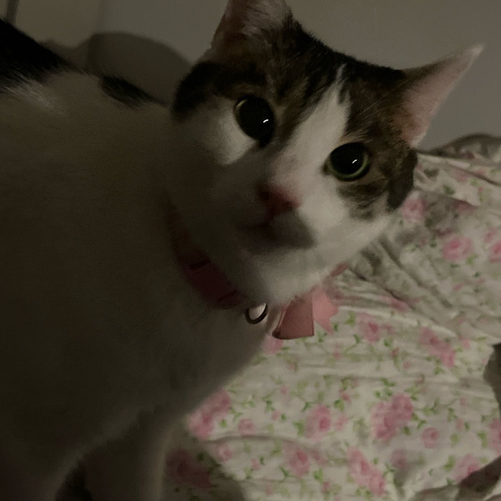 Minaaa