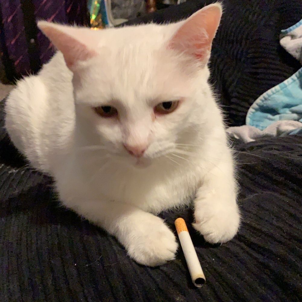 Theo; man myth legend