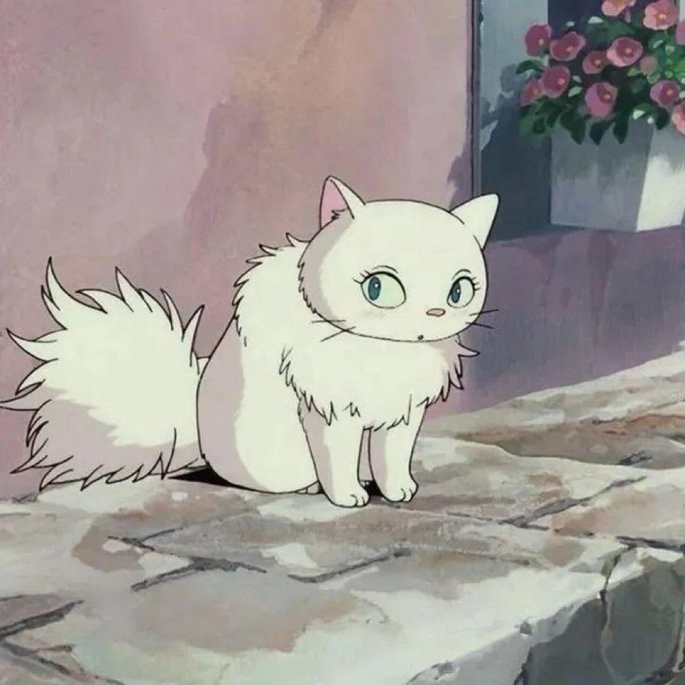 𝓨𝓾𝓲
