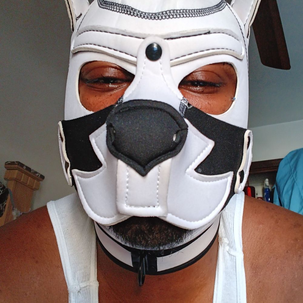 Pupdarkfire