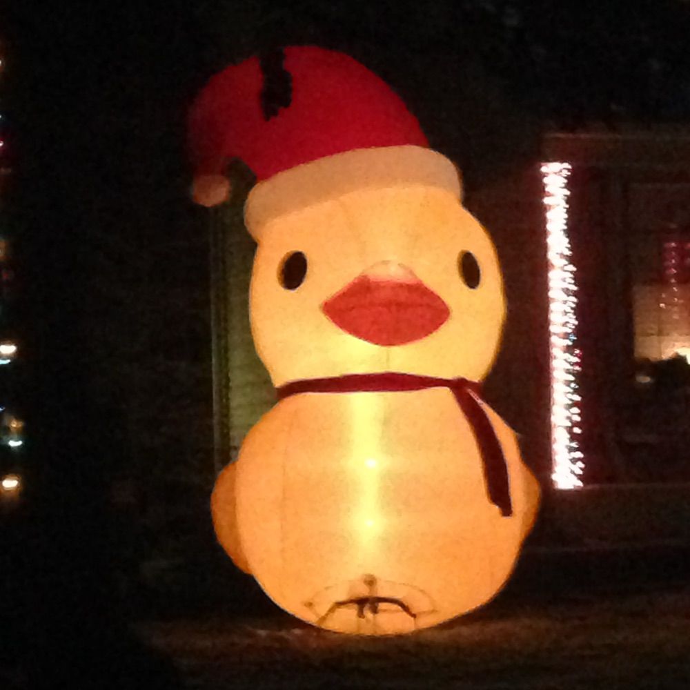 PeckedByDucks