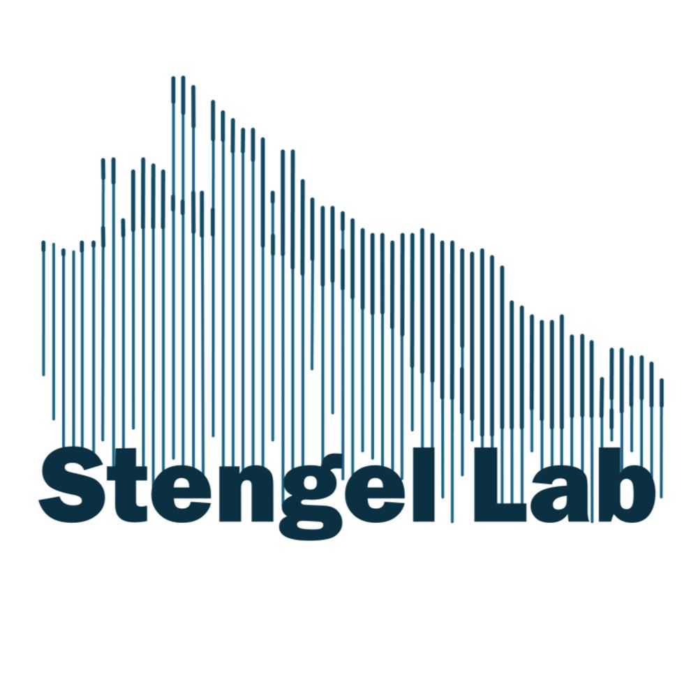 The Stengel Lab