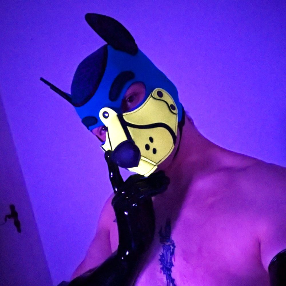 Mutt Sailor 🐺🔞