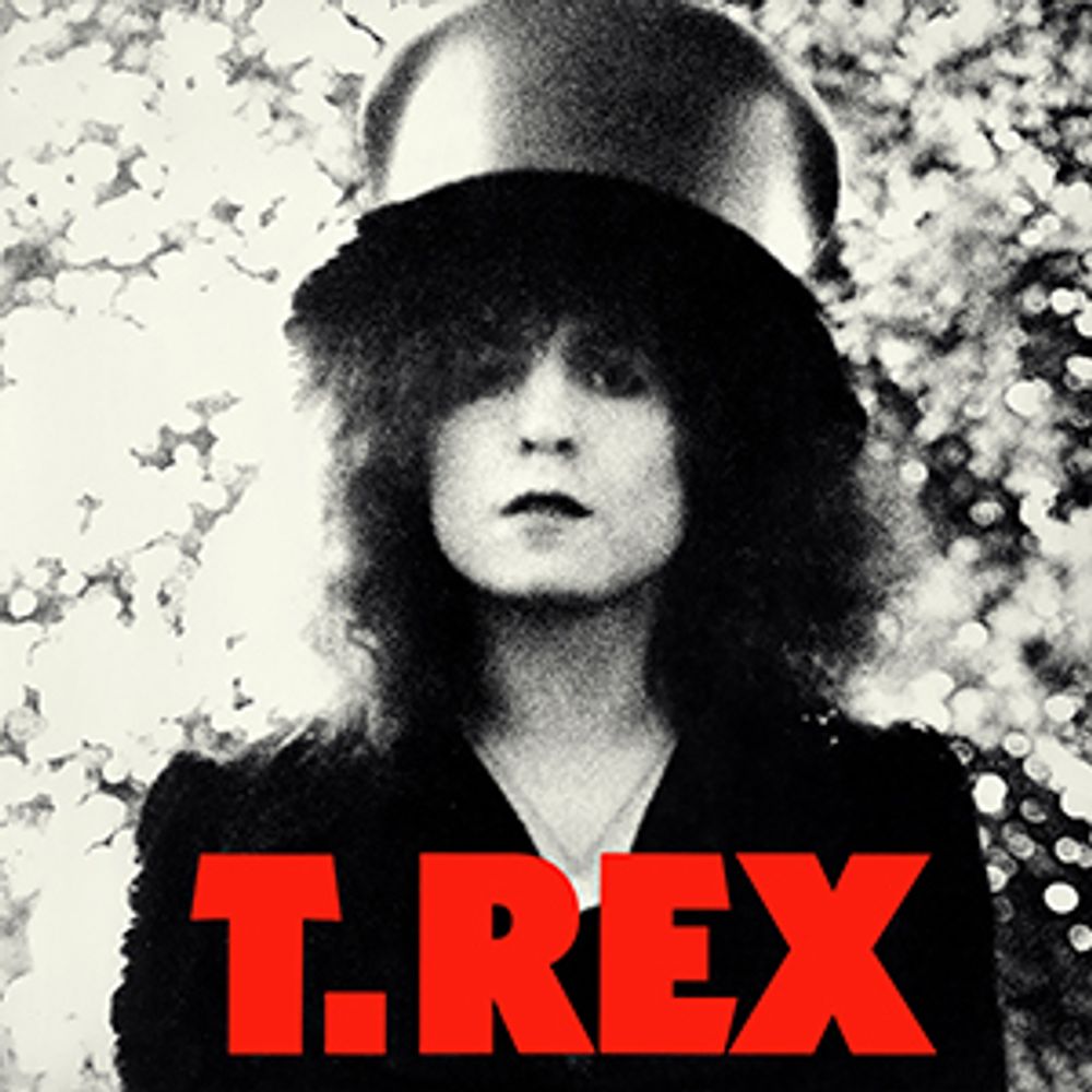 Slider TRex
