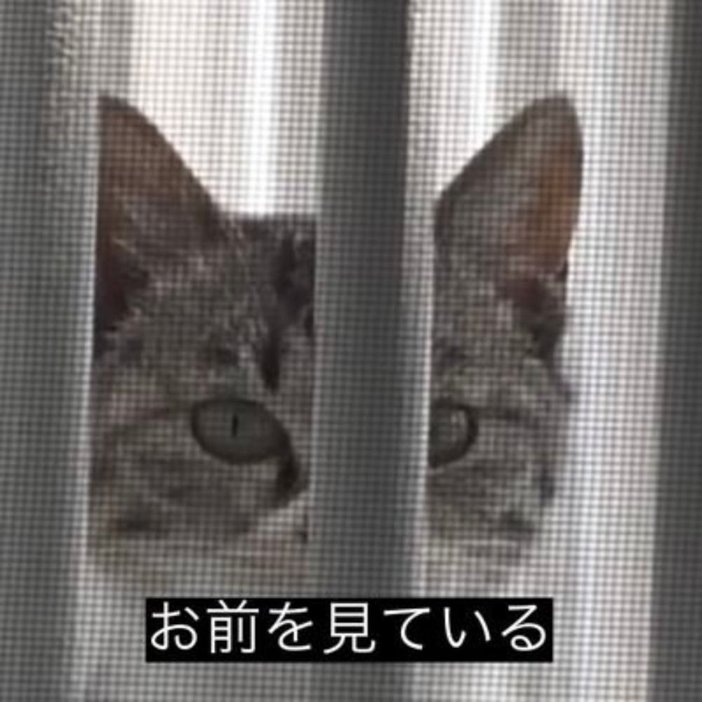 パノプティコンの真ん中にいる人