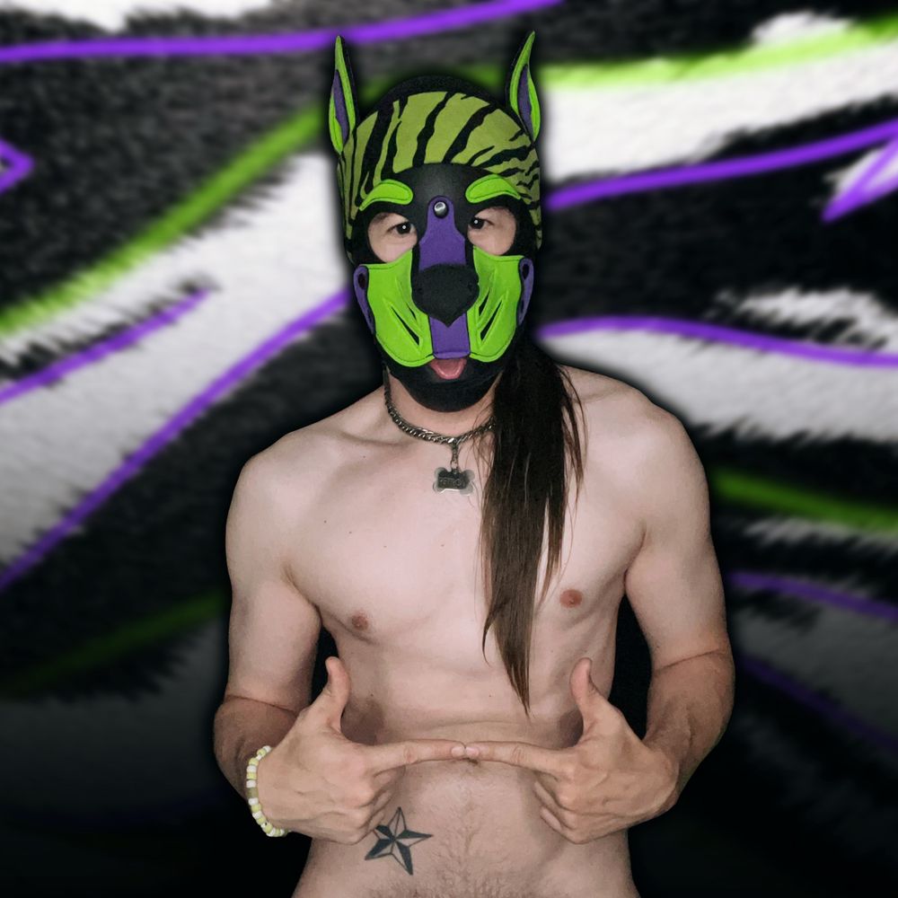 Pup Retrow