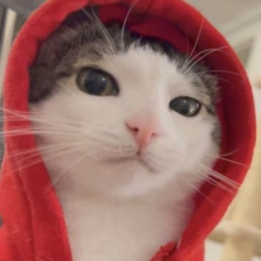 mô