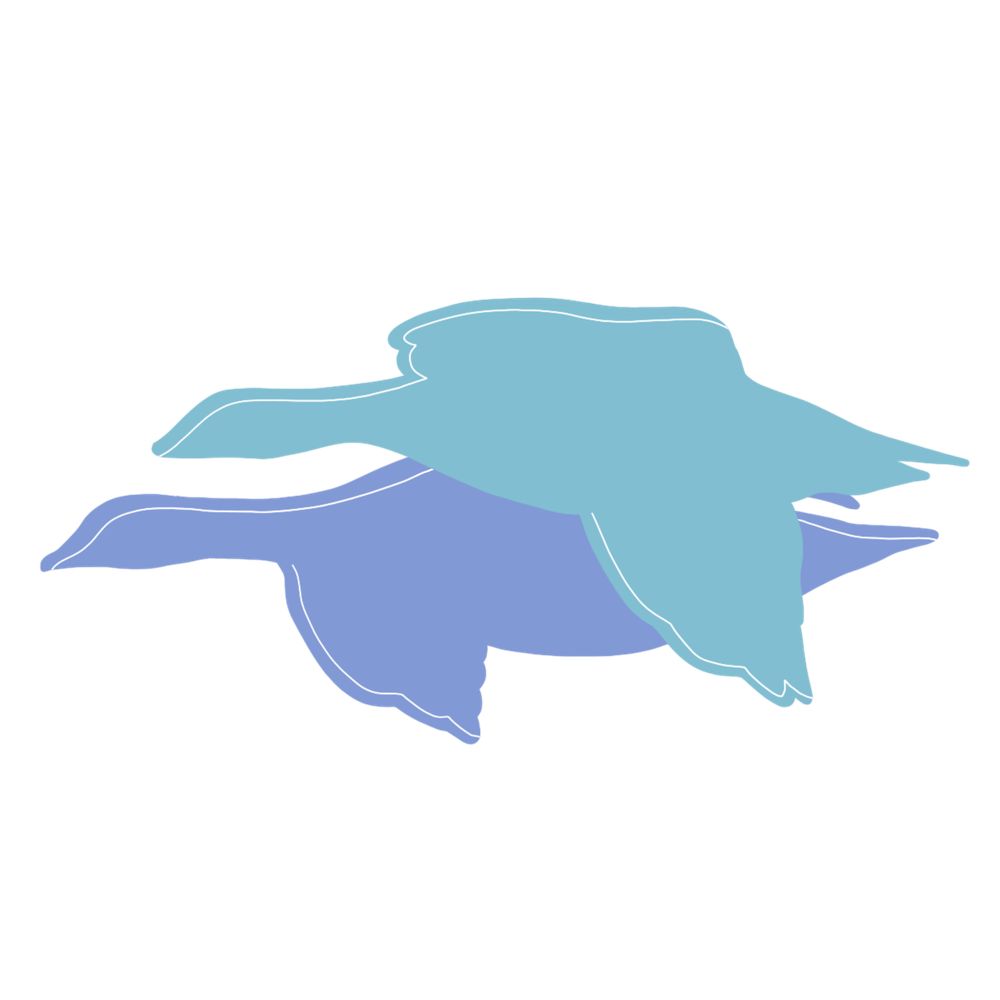 Ecology Consulting