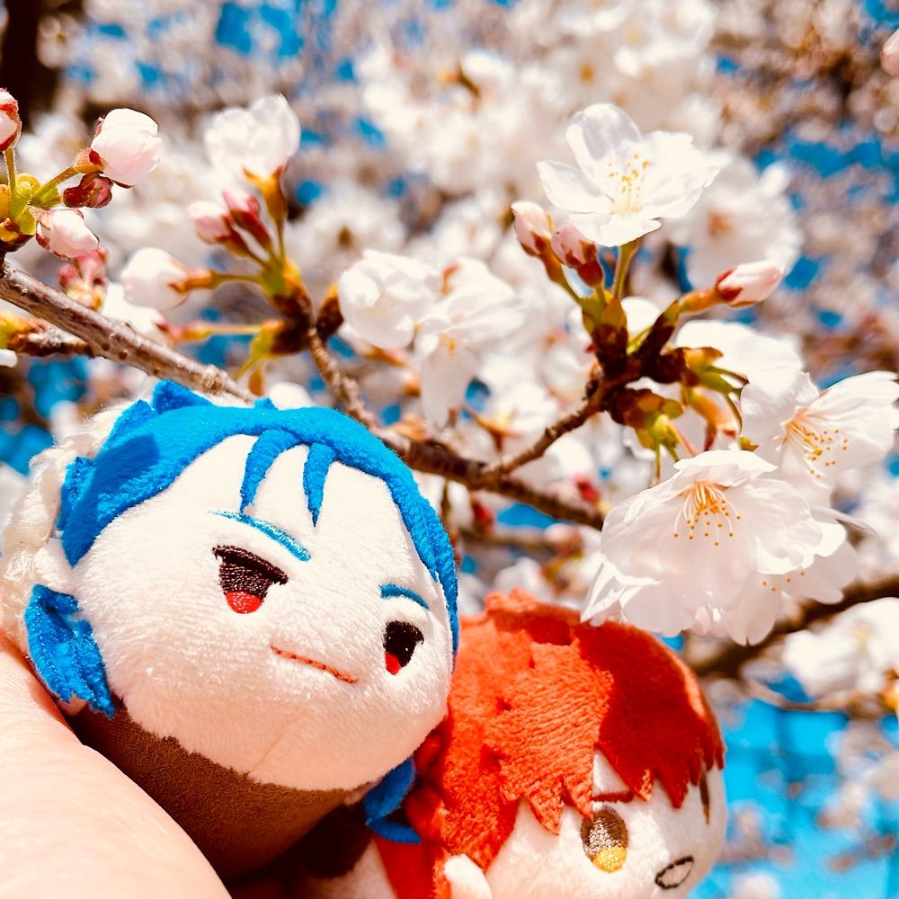 🩵ともいち🩵ꪔ̤̥ꪔ̤̮ꪔ̤̫🤍