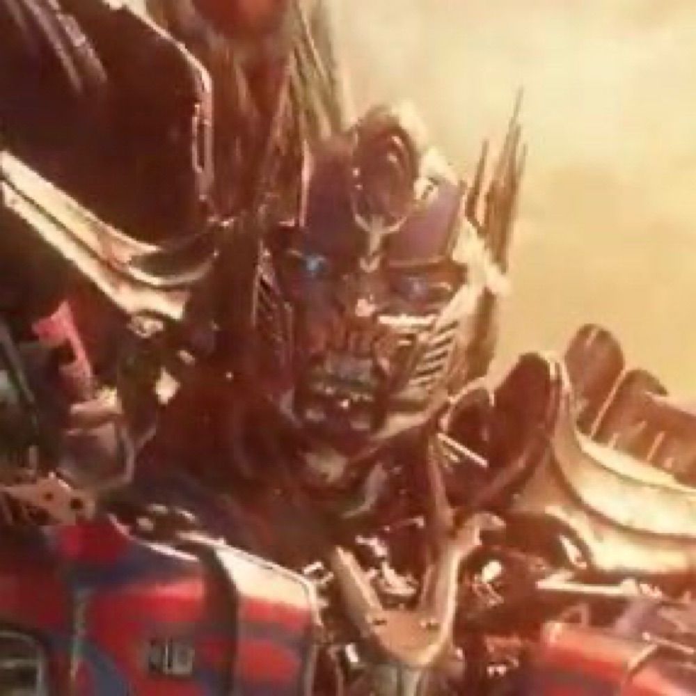 bisexual transmasc optimus prime 🏳️‍🌈🏳️‍⚧️