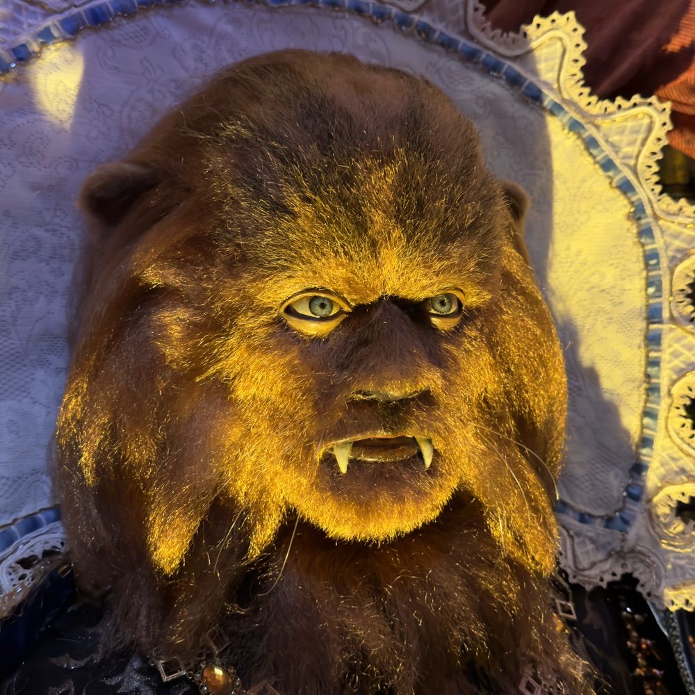 CT Hairy Guy