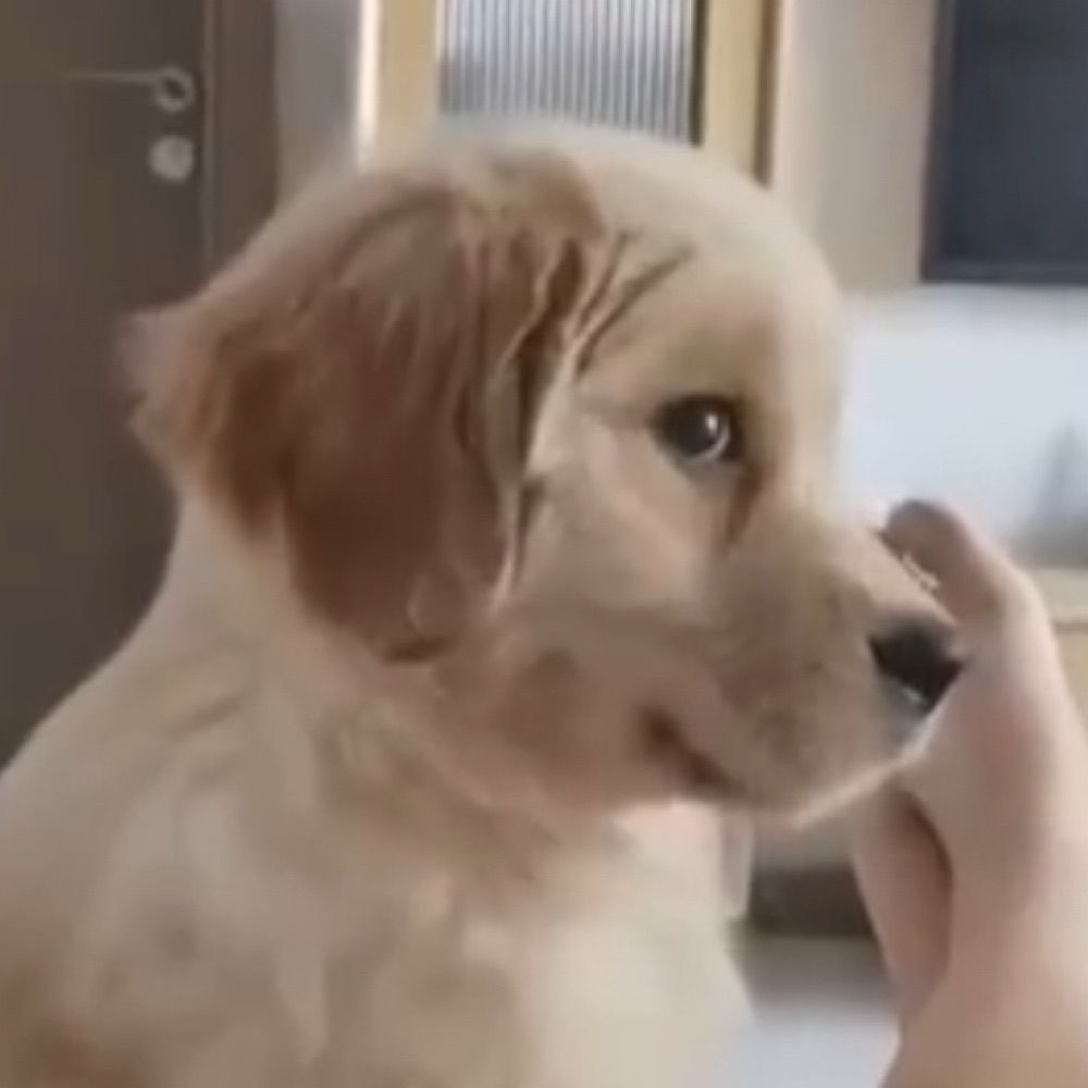 771