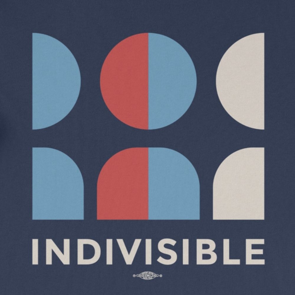 Indivisible Sevier County Voices from the Mountains