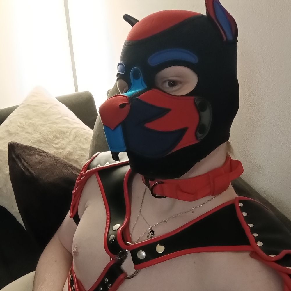 PupFluffy1