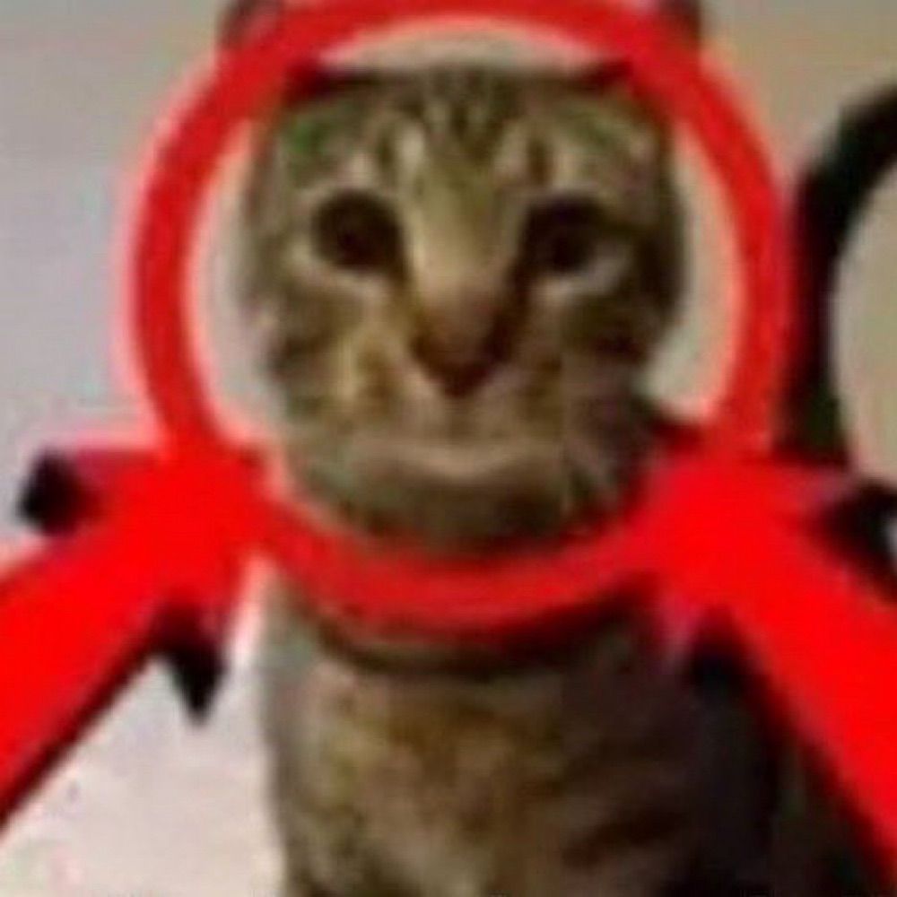 Koda