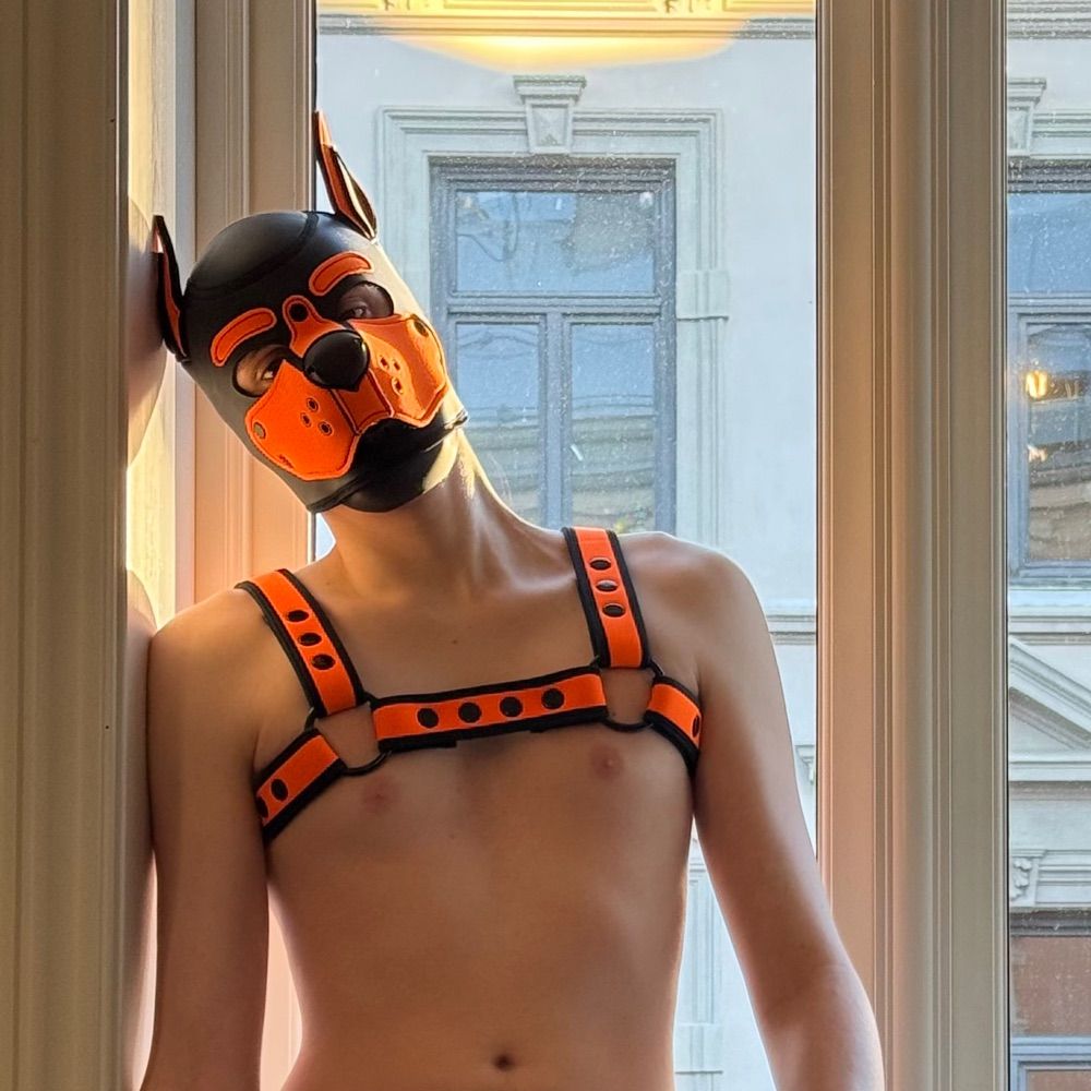 Pup Dicer