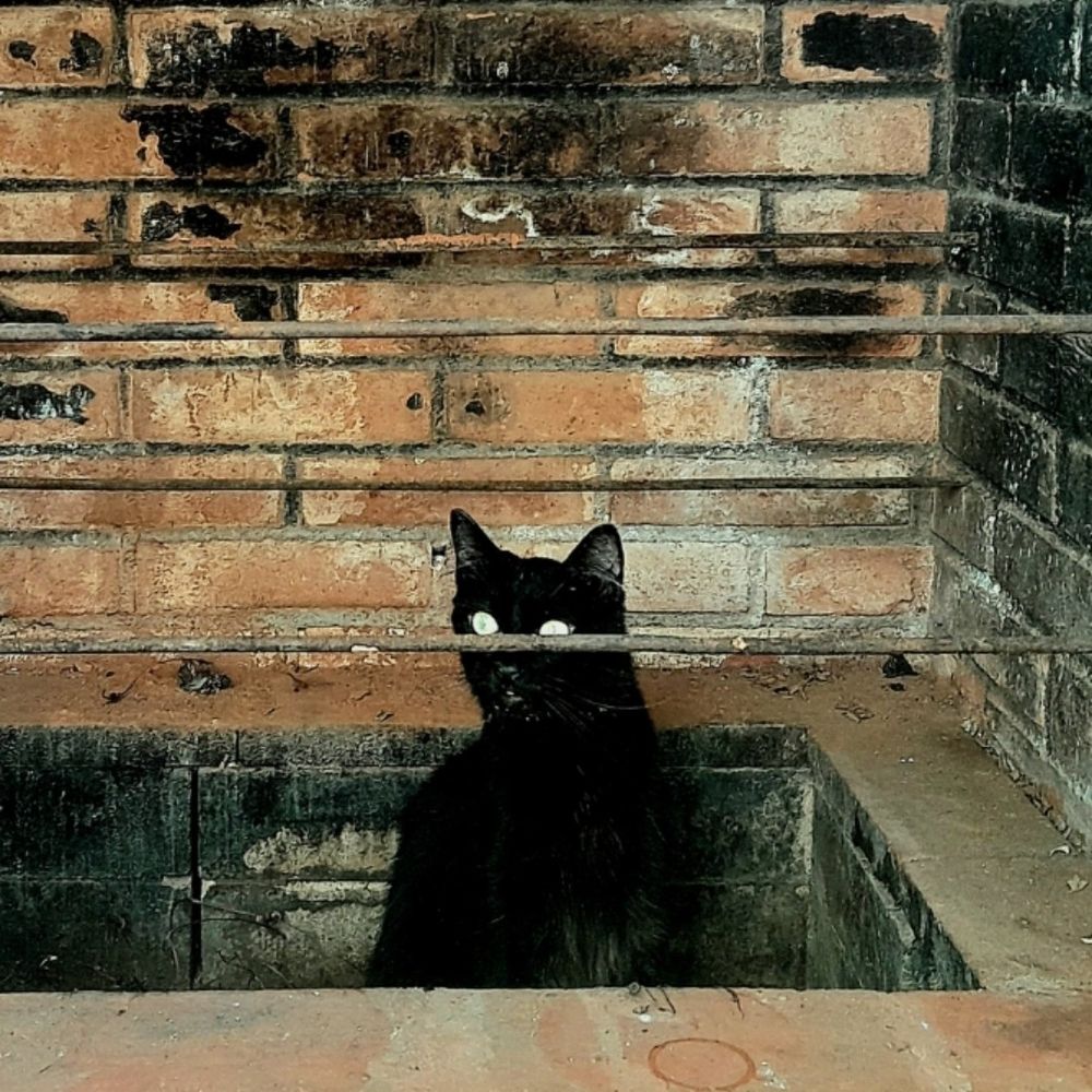 El Terror